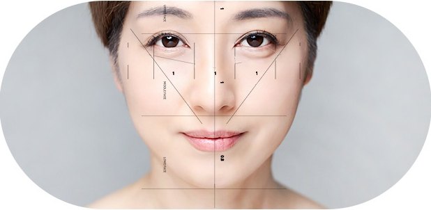얼굴라인과 비례를 재는 계측선이 겹쳐진 정면 얼굴 사진. UPPER FACE·MIDDLE FACE·LOWER FACE 구획선이 표시되어 있다