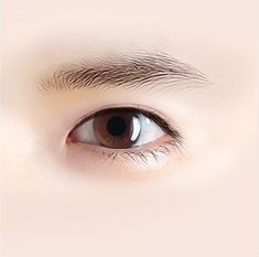 몽고주름이 뚜렷한 한쪽 눈을 클로즈업한 일러스트