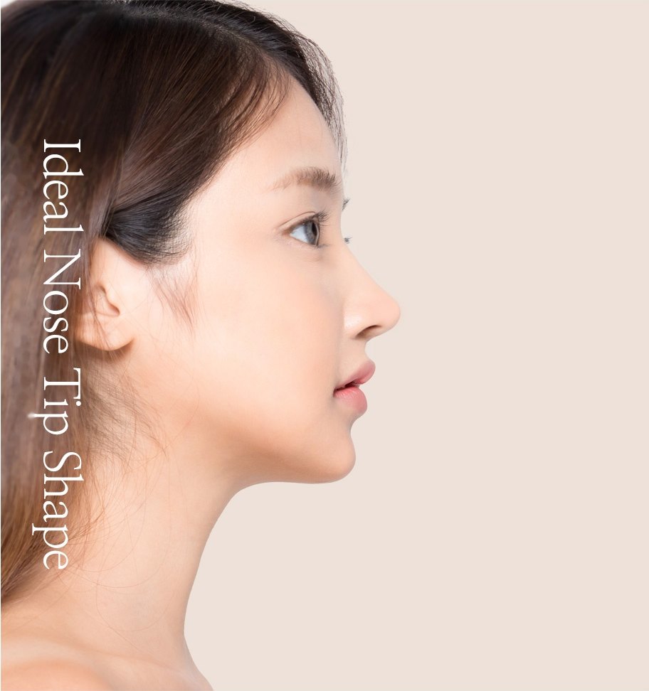 이상적인 코끝 라인을 보여주는 여성의 옆얼굴 프로필 사진. 사진에 'Ideal Nose Tip Shape' 문구가 함께 새겨져 있다.
