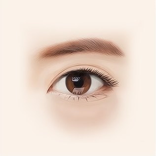 20대 눈 일러스트 — 눈 밑이 살짝 볼록하다