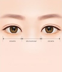 두 눈 일러스트에 눈폭(EYE WITH)과 눈 사이 간격(EYE-TO-EYE GAP)을 재는 화살표가 표시된 그림