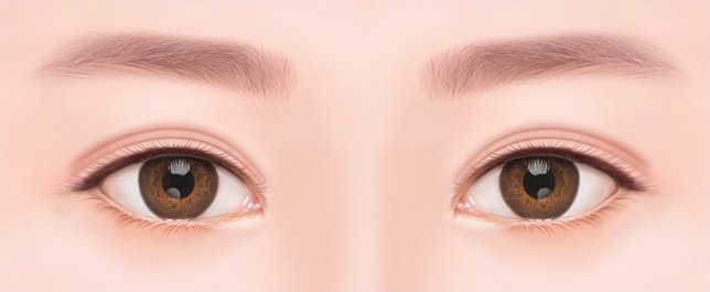 겹쌍꺼풀과 눈두덩 꺼짐이 보이는 눈 일러스트