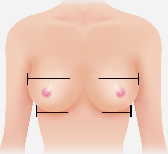 윗가슴 둘레와 아랫가슴 둘레 계측 위치를 표시한 여성 상반신 도해