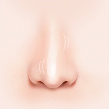 정면에서 본 코 3D 일러스트 — 콧대 표면에 주름과 굴곡이 비치는 상태