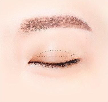 감은 눈 위에 갈색 점선으로 예정 쌍꺼풀 라인을 디자인해 그린 일러스트