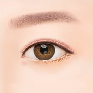 쌍꺼풀 라인이 눈꺼풀에 덮여 겉으로 거의 보이지 않는 속 쌍꺼풀 눈매 일러스트
