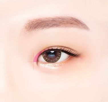 앞트임 절개 디자인 라인을 표시한 눈 일러스트