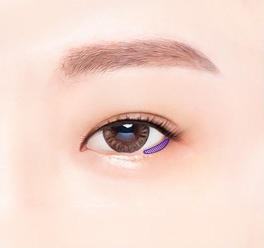 밑트임 디자인 라인을 표시한 눈 일러스트