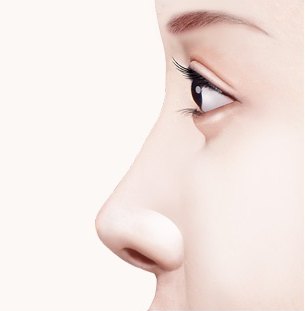 수술 전 — 길이가 짧은 코의 옆모습 일러스트