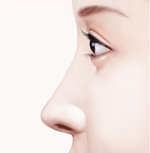 수술 후 — 알맞은 길이의 코라인 일러스트
